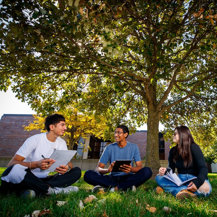 A group of people sitting on the grass